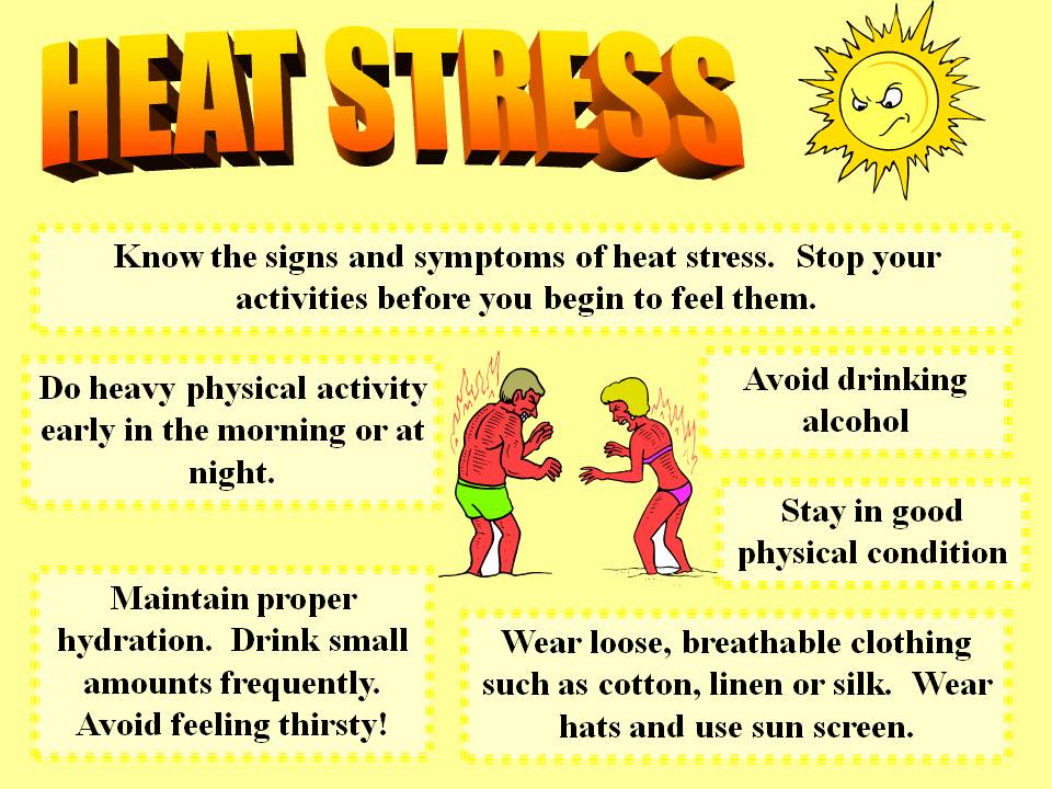 Heat Stress Disorders Osha Safety Manuals